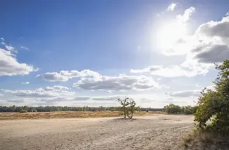 Loonse en Drunense Duinen